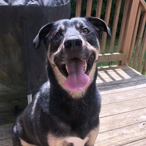 Meet your Posher, Kamden